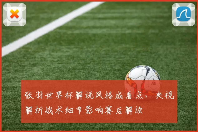 张羽世界杯解说风格成看点,央视解析战术细节影响赛后解读