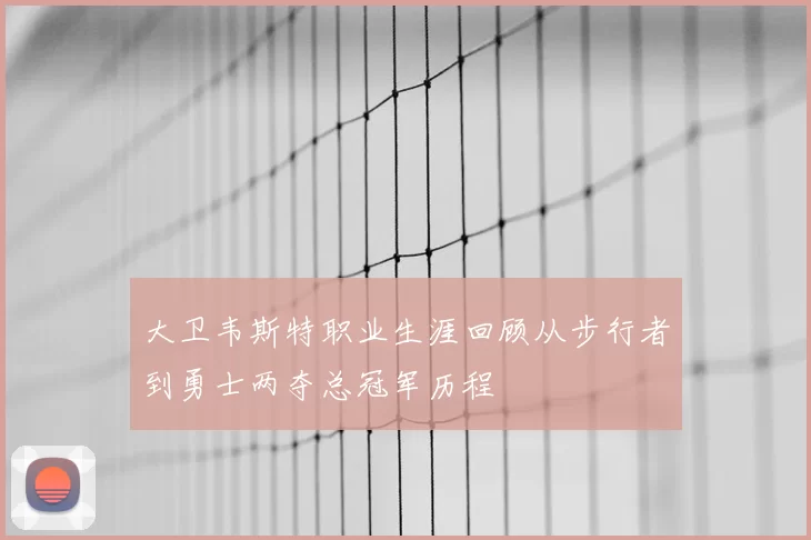 大卫韦斯特职业生涯回顾从步行者到勇士两夺总冠军历程