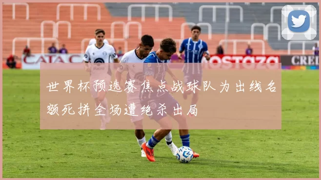 世界杯预选赛焦点战球队为出线名额死拼全场遭绝杀出局
