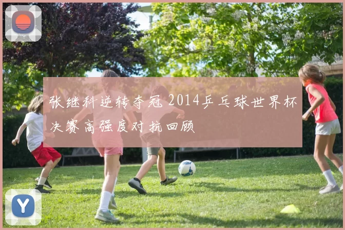 张继科逆转夺冠 2014乒乓球世界杯决赛高强度对抗回顾