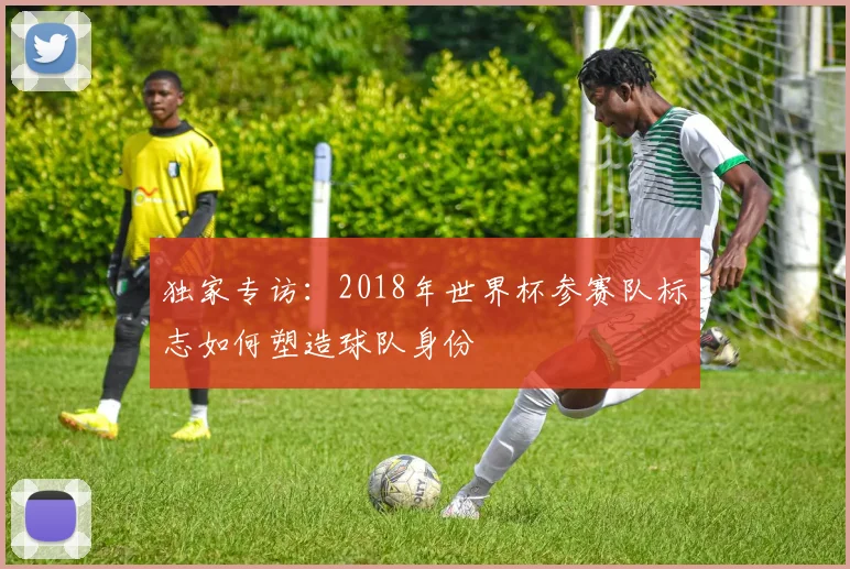 独家专访：2018年世界杯参赛队标志如何塑造球队身份